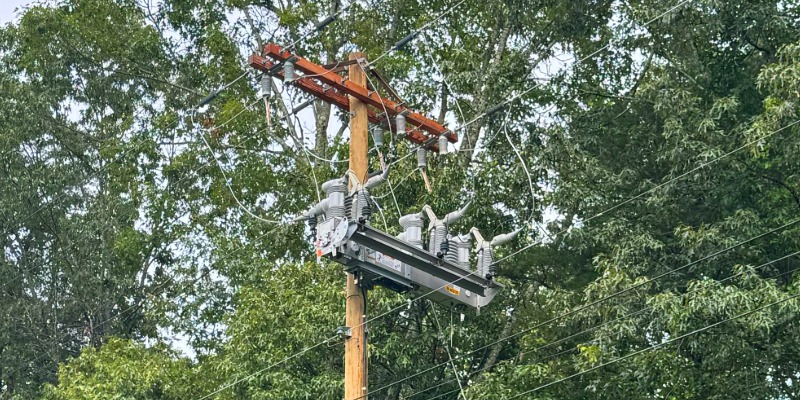 Tripsaver II recloser with trees in the background